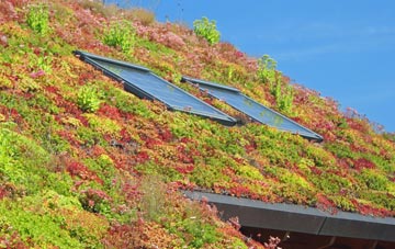 Llanfaes living roof systems